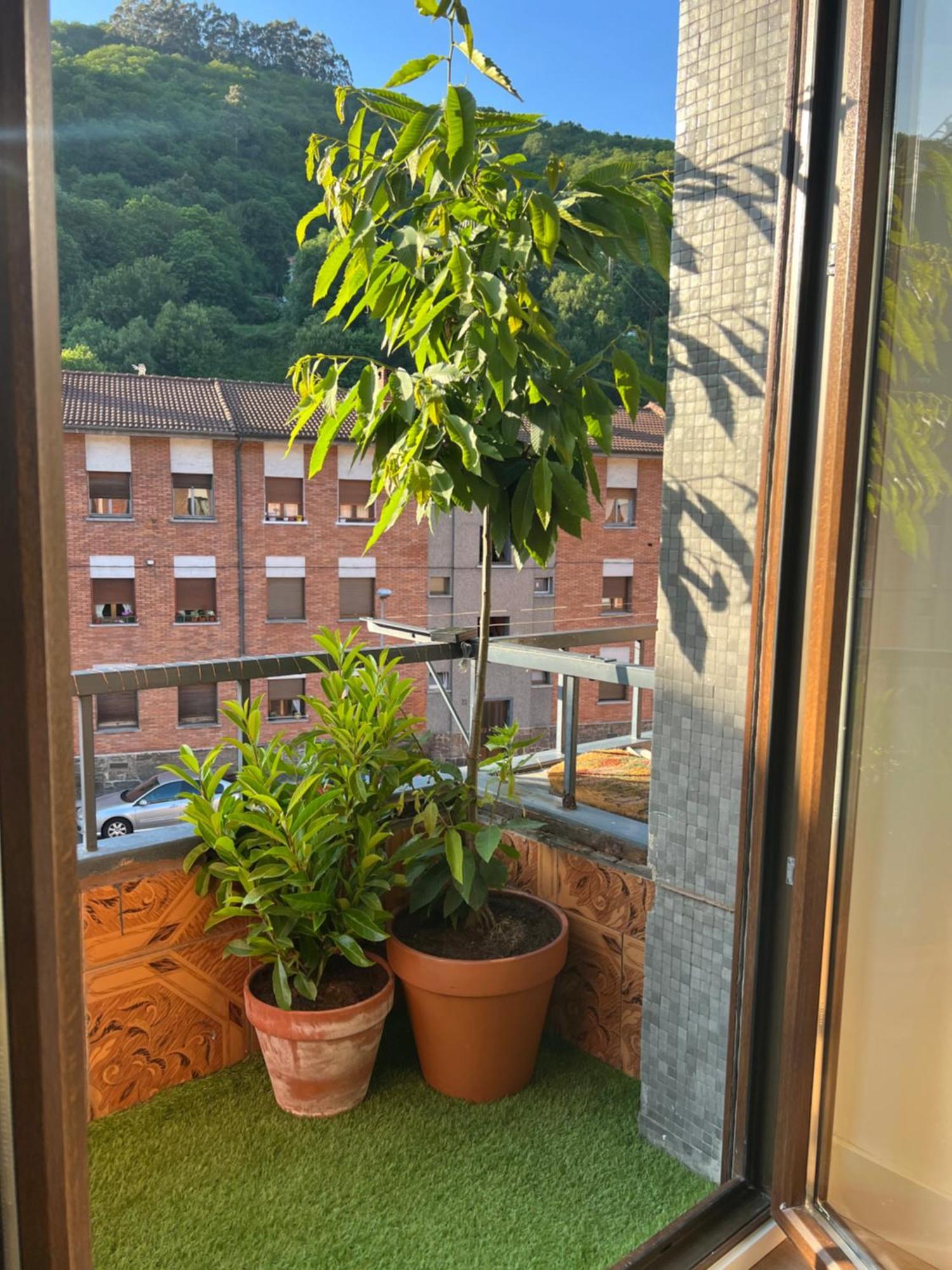 Mountain View Apartment М'єрес Екстер'єр фото